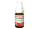 Picture of Ws Panax Ginseng 30 10ml Pot